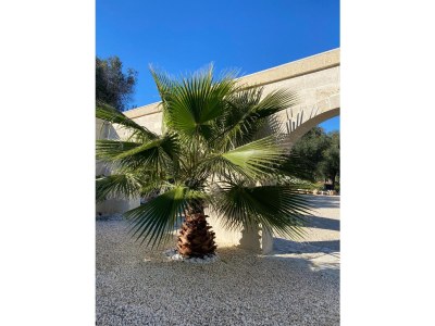 Villa Villa Aurore - Outdoor photo 15