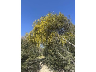 Villa Villa Aurore - Environment photo 34