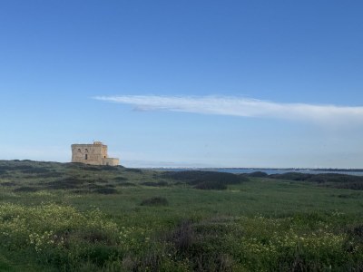 Villa Villa Aurore - Environment photo 35