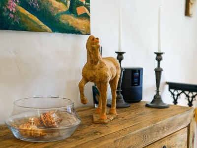 Holiday house La Perle - Features photo 21