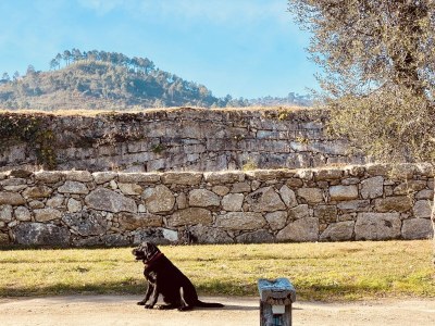 Farmhouse Casa da Fecha - Outdoor photo 3