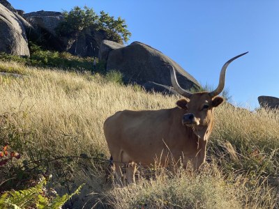 Farmhouse Casa da Fecha - Outdoor photo 7