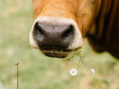 Farmhouse Casa da Fecha - Outdoor photo 9