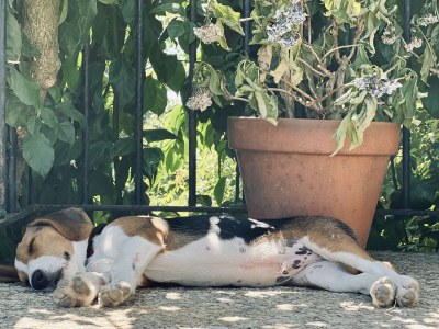 Farmhouse Casa da Fecha - Outdoor photo 11
