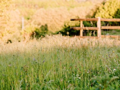 Farmhouse Casa da Fecha - Outdoor photo 12