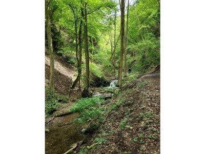 Holiday apartment Liomena - Environment photo 19