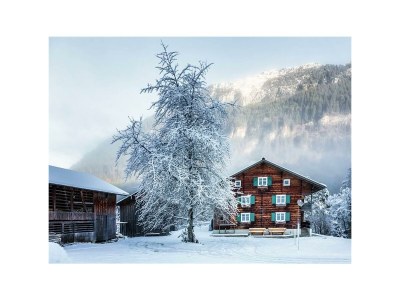 Apartment Ferienhaus Bergfrieden - Outdoor photo 6