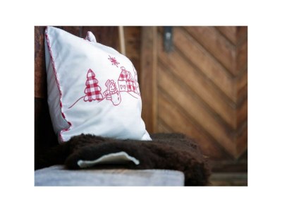 Apartment Ferienhaus Bergfrieden - Outdoor photo 11