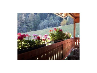 Apartment Ferienhaus Bergfrieden - Features photo 23