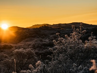 Apartment De Egmonden - Environment photo 17