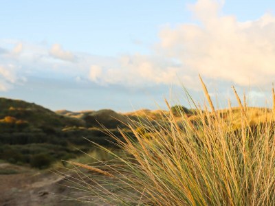 Apartment De Egmonden - Environment photo 18