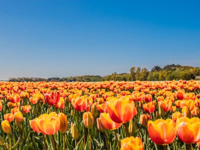 Apartment De Egmonden - Environment photo 19