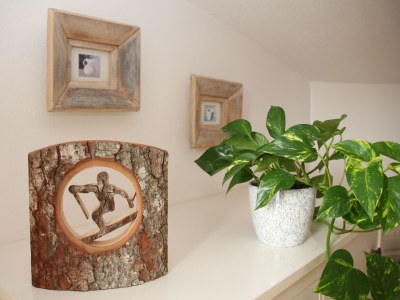 Apartment Bergsicht- Kirchberg in Tyrol - Features photo 17