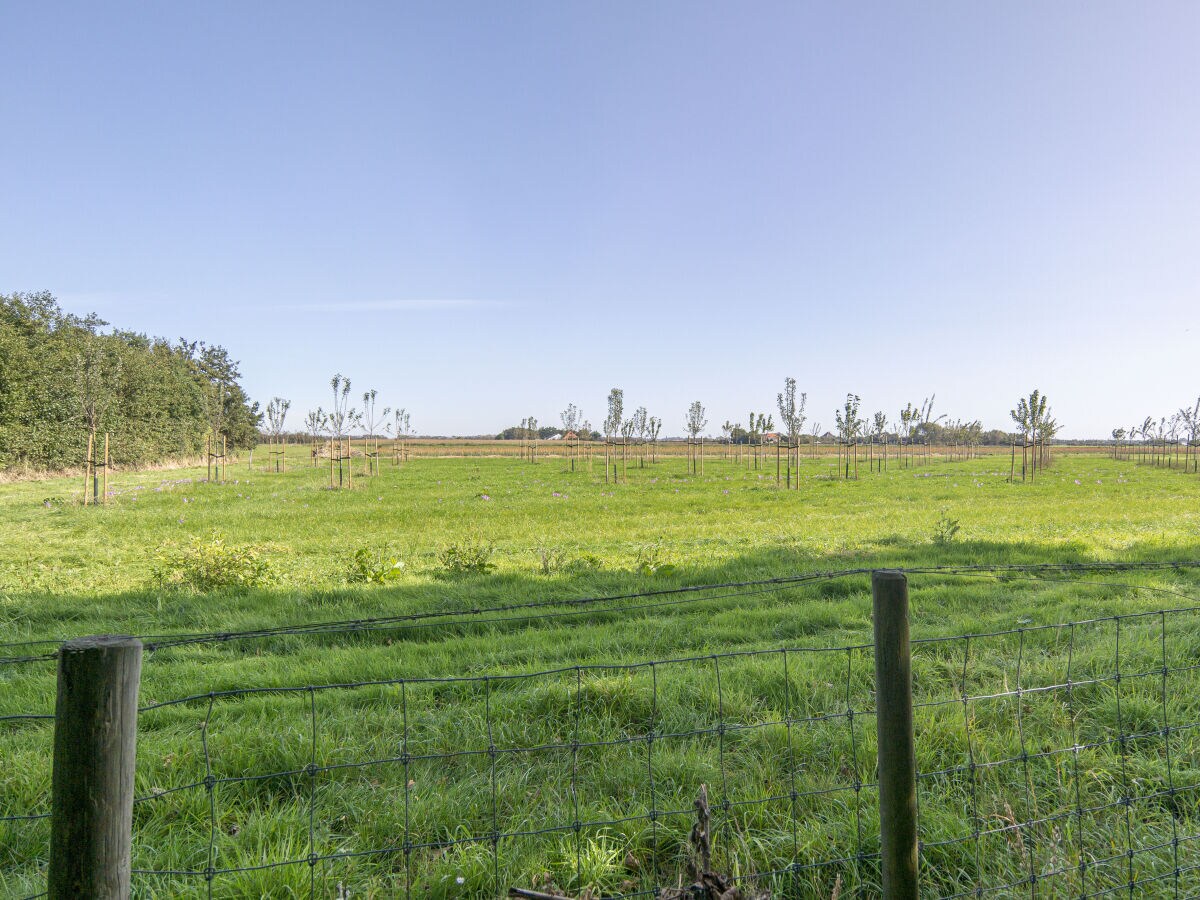 Bungalow Bosrandweg 499 - Outdoor photo 5