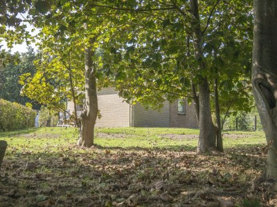 Bungalow Bosrandweg 499 - Outdoor photo 4