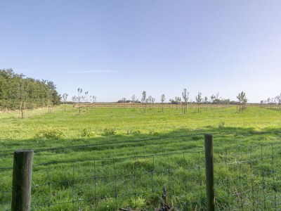 Bungalow Bosrandweg 499 - Outdoor photo 5