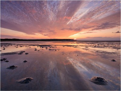 Bungalow Bosrandweg 499 - Environment photo 17