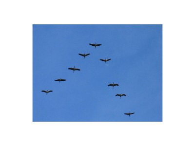 Holiday house Hühnergott - Environment photo 45