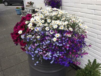 Holiday house Jutter - Outdoor photo 6