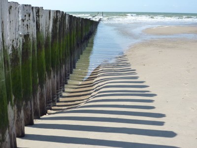 Holiday house OK31 Familienchalet - Environment photo 13