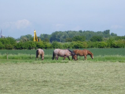 Holiday house OK31 Familienchalet - Environment photo 17