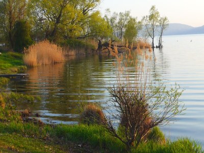 Holiday house The Gulf Villa - Lago Maggiore - Outdoor photo 10