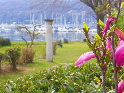 Holiday house The Gulf Villa - Lago Maggiore - Environment photo 30