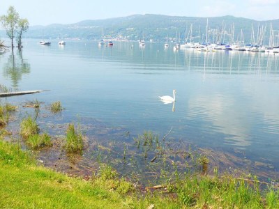 Holiday house The Gulf Villa - Lago Maggiore - Environment photo 32