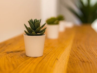 Villa Villa Bella Istria - Features photo 22