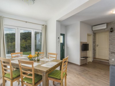 Villa Villa Ana Spinovci - Features photo 12