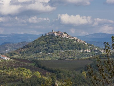Villa Villa Ana Spinovci - Environment photo 25