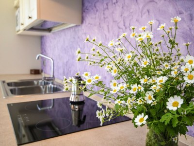 Apartment Ciliegia - Features photo 27