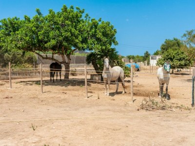 Villa Casa Angela - Environment photo 54