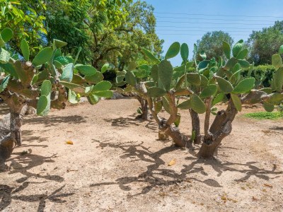 Villa Casa Angela - Environment photo 55