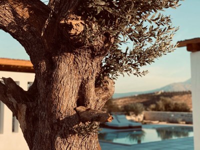 Villa Chelona - Outdoor photo 9