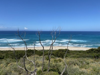 Holiday house Chessi Blu - Environment photo 36