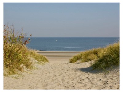 Villa Holiday villa in Zeeland - Environment photo 17