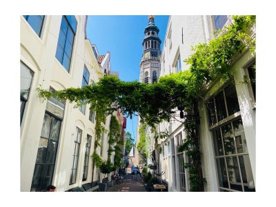 Villa Holiday villa in Zeeland - Environment photo 18