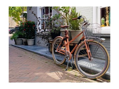 Villa Holiday villa in Zeeland - Environment photo 21