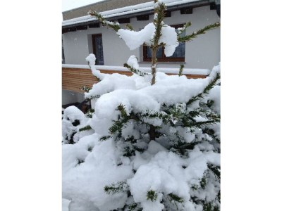 Apartment Ferienhaus Kopp - Outdoor photo 17