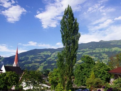 Apartment Ferienhaus Kopp - Outdoor photo 18