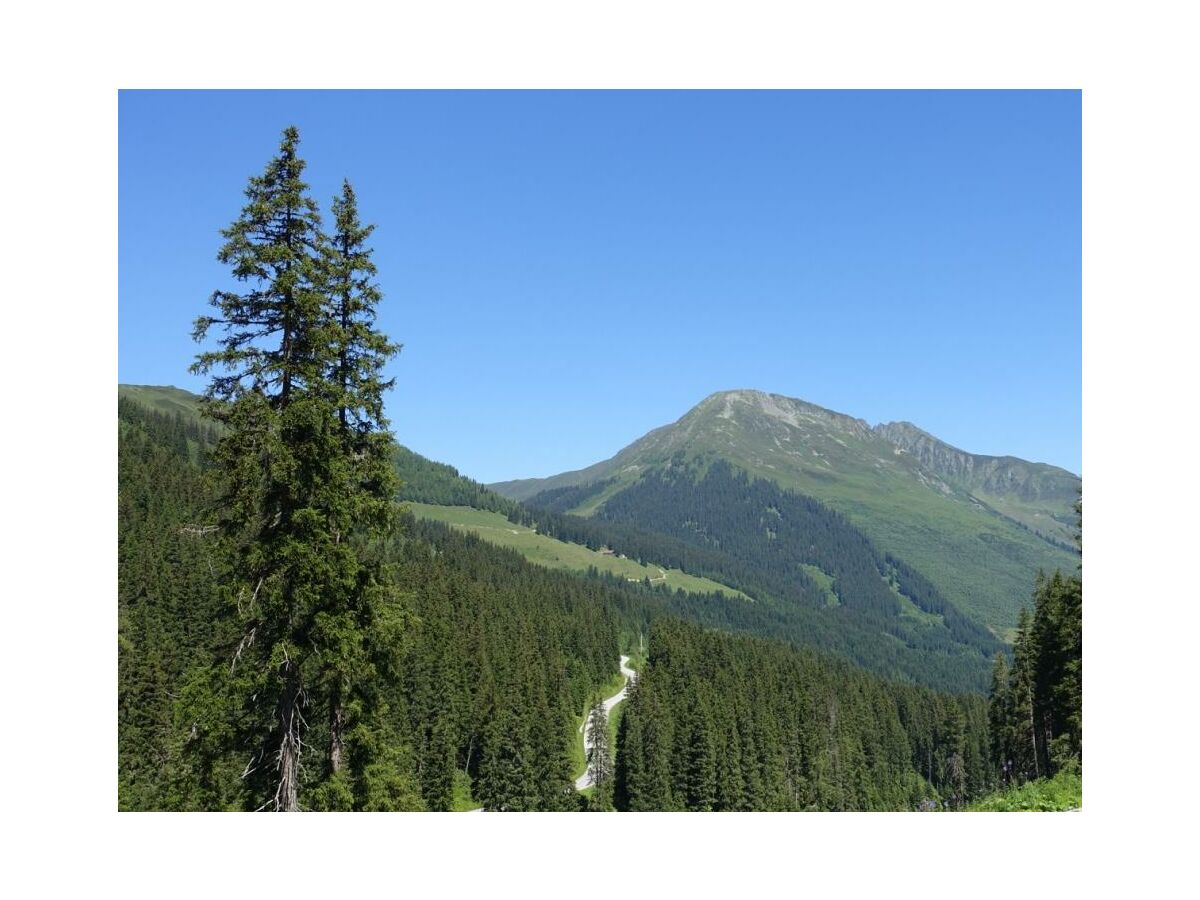 Apartment Montana Chalets Sommer - Outdoor photo 2