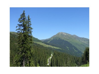 Apartment Montana Chalets Sommer - Outdoor photo 2