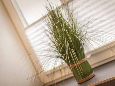 Holiday apartment Ferienwohnung Austernfischer - Features photo 28