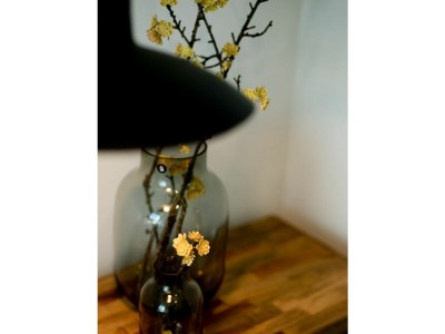 Holiday apartment Ferienwohnung Austernfischer - Features photo 31