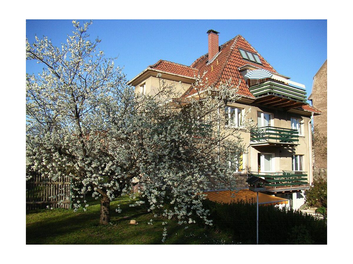 Holiday apartment Alice's Apartment 2