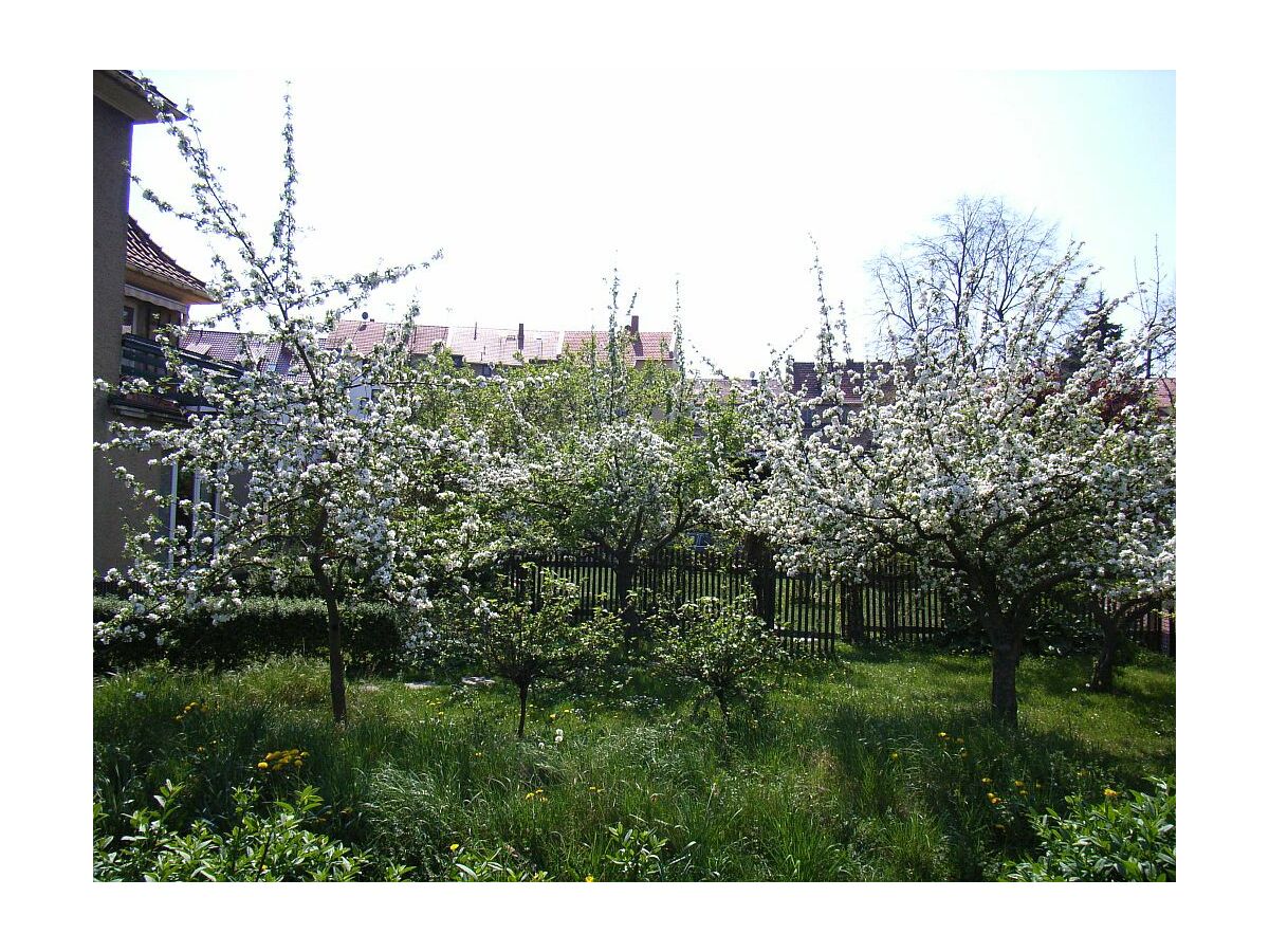 Holiday apartment Alice's Apartment 2 - Outdoor photo 5