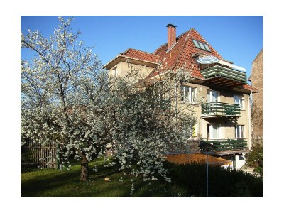 Holiday apartment Alice's Apartment 2 in Arnstadt - Holiday apartment