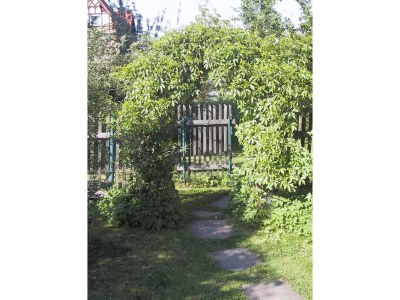 Holiday apartment Alice's Apartment 2 - Outdoor photo 3