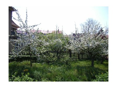 Holiday apartment Alice's Apartment 2 - Outdoor photo 5